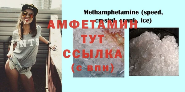 мдпв Инта
