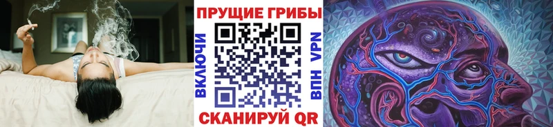 закладка  Соликамск  Псилоцибиновые грибы прущие грибы 
